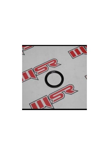 Bajaj Dominar 400 Ön Amortisör Keçesi A