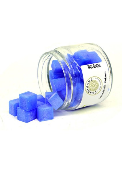 Okyanus Kokulu Buhurdanlık Yağı fiyatları