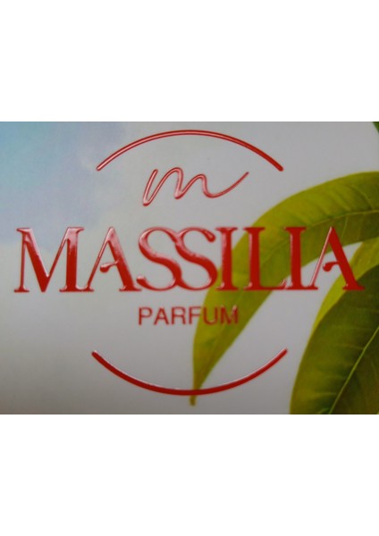 Mango Çubuklu Massılıa Oda Kokusu 100 ml Mango Aromalı Siyah Çubuklarla Kalıcı Etki indirimleri