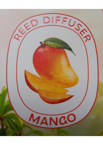 Mango Çubuklu Massılıa Oda Kokusu 100 ml Mango Aromalı Siyah Çubuklarla Kalıcı Etki
