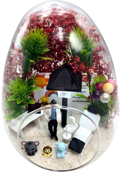 Premium Lüx Kişiselleşebilir Çocuk Diş Hekimi Pedodontist Teraryum Arkadaşa Sevgiliye Konsept Hediye fiyatları