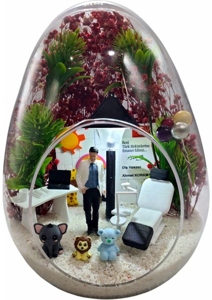 Premium Lüx Kişiselleşebilir Çocuk Diş Hekimi Pedodontist Teraryum Arkadaşa Sevgiliye Konsept Hediye modelleri