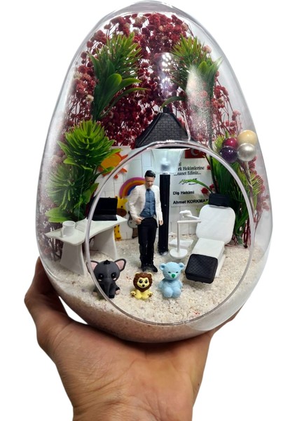 Premium Lüx Kişiselleşebilir Çocuk Diş Hekimi Pedodontist Teraryum Arkadaşa Sevgiliye Konsept Hediye indirimleri