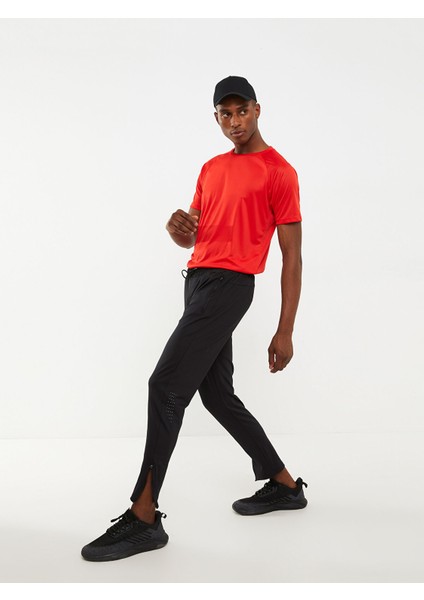 Yeni Sezon Standart Kalıp Erkek Eşofman Altı fırsatları