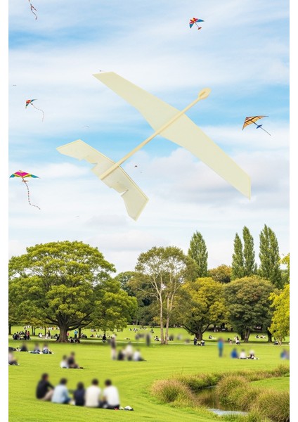 C2 Uçak Planör Fırlatmalı Hobi Eğlence 2 Adet