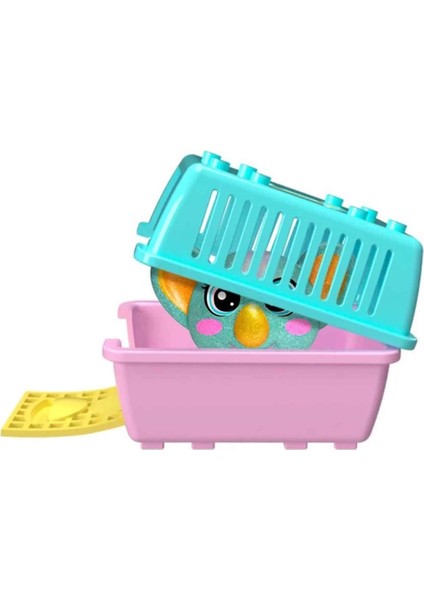 Bfs House Pets Evcil Hayvan Sürpriz Paket fiyatları