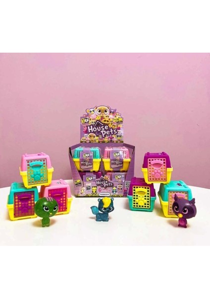 Bfs House Pets Evcil Hayvan Sürpriz Paket indirimleri