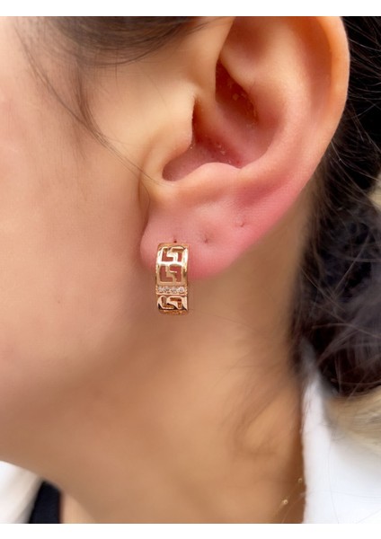 Kadın Xuping Çelik Küpe