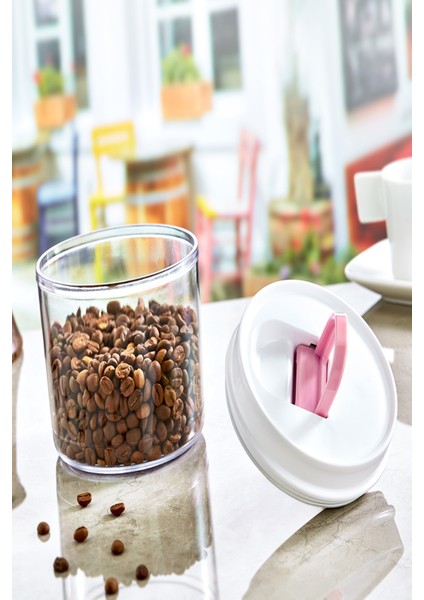 Modul Box Kavanoz Şeffaf No:1