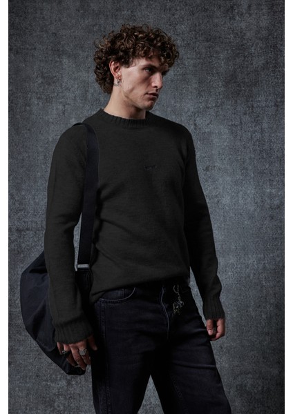 Erkek Regular Fit Bisiklet Yaka Kazak Siyah modelleri