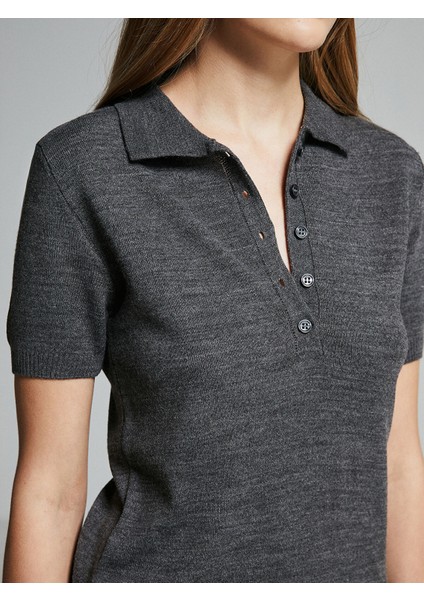 Yeni Sezon Polo Yaka Düz Kısa Kollu Kadın Triko Kazak modelleri