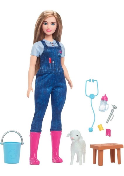 HRG42 Barbie 65. Yıl Deluxe Kariyer Bebekleri - Veteriner fiyatları