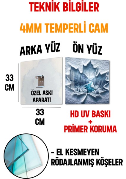 3D Görünümlü Temperli Cam Tablo – Kış Temalı Kar Yaprağı Manzara Uv Baskı 33X33 CM-CTK121