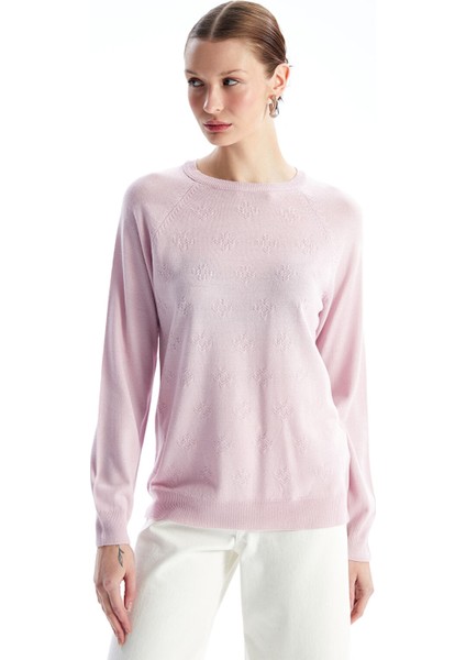 Yeni Sezon Bisiklet Yaka Düz Uzun Kollu Kadın Triko Kazak