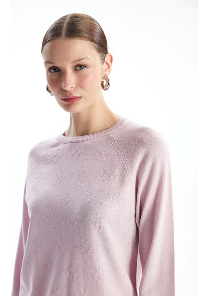 Yeni Sezon Bisiklet Yaka Düz Uzun Kollu Kadın Triko Kazak modelleri