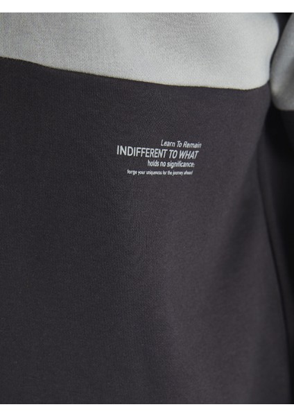 Yeni Sezon Dik Yaka Uzun Kollu Renk Bloklu Erkek Kalın Sweatshirt modelleri