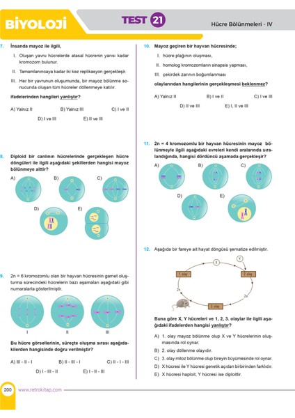 2026 Tyt Sayısal Kamp Ateşi Soru Bankası Fizik Kimya Biyoloji Fkb Retro Yayınları fırsatları