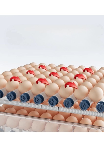 60 Yumurta Kapasiteli Tam Otomatik Kuluçka Makinesi - Civciv, Kaz, Hindi ve Ördek Yetiştiriciliği EPO-W60 modelleri