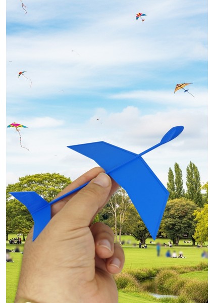 C1 Fırlatılan Uçak Planör 2 Adet