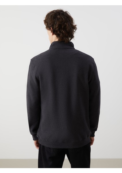 Yeni Sezon Dik Yaka Erkek Sweatshirt fırsatları