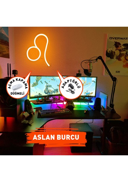 Aslan Burcu Figürlü Neon LED Tabela Tablo Gece Aydınlatma Duvar Dekoru fiyatları