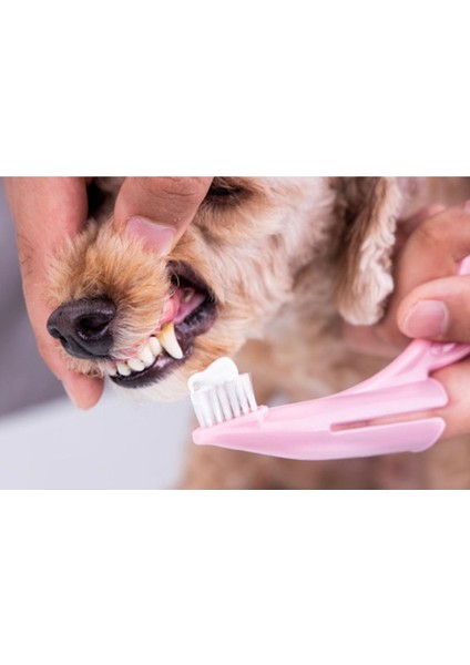 Evcil Hayvan Diş Macunu Seti fırsatları