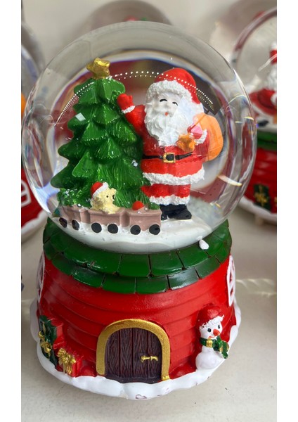 Çam Ağaçlı Norl Baba Kar Küresi