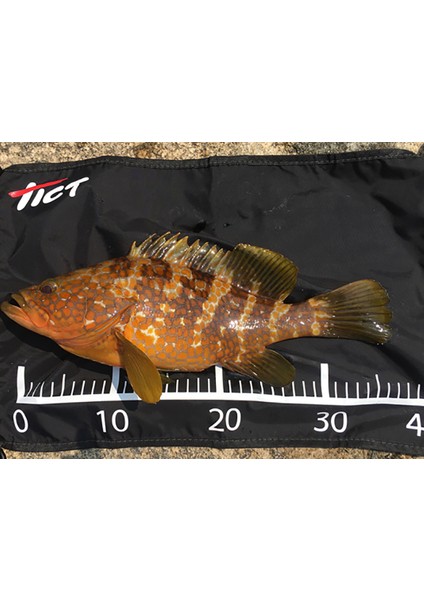 Fishing Mat S fırsatları