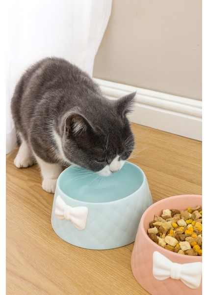 Şık Tasarım Fiyonk Desen Kedi-Köpek Mama Kabı 470 ml fiyatları