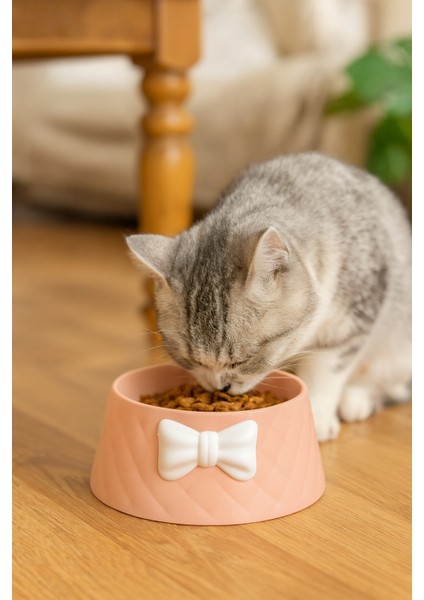 Şık Tasarım Fiyonk Desen Kedi-Köpek Mama Kabı 470 ml fırsatları