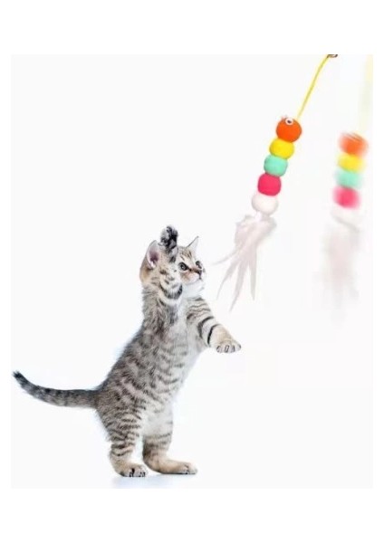 Elastik Yapışkanlı Kedi Oyun Oltası indirimleri