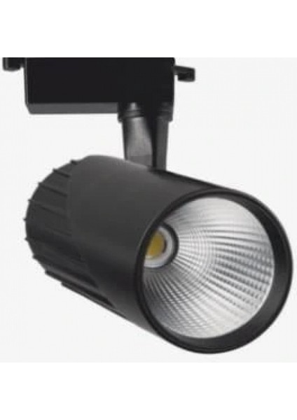 Eco Lounge Cata Ct 5315 Ledli Ray Spot 33W 3200K Gün Işığı