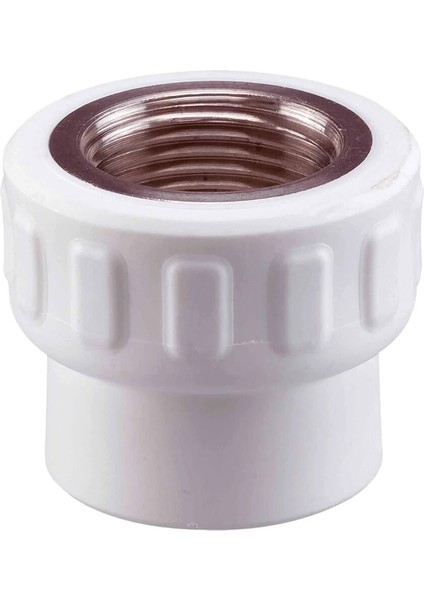 Pprc Nipel Iç Dişli 20 3/4"mm (5ADET)