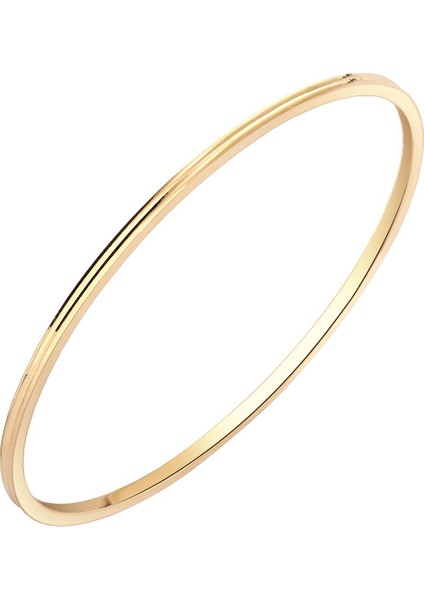 14 Ayar 10 Gram Ajda Bilezik