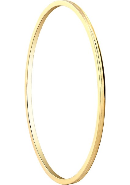 14 Ayar 10 Gram Ajda Bilezik fırsatları