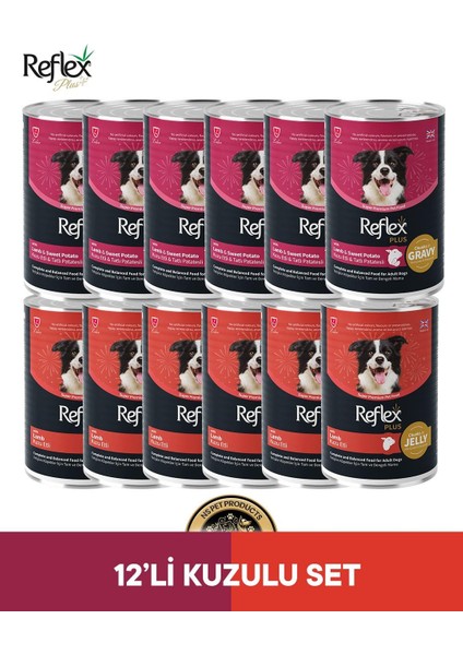 Plus Köpek Maması 12'li Kuzulu Set