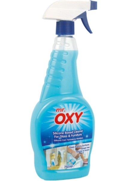 Mr. Oxy Silikonlu Cam Metal ve Mobilya Temizleyici Sprey 750ML * 2 Adet fiyatları
