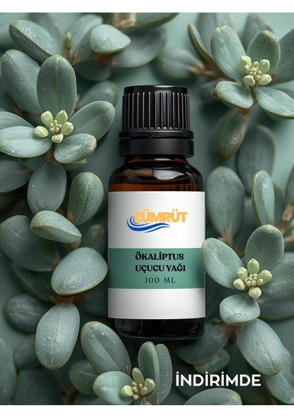Okaliptüs Uçucu Yağ - Oda ve Ortam Kokusu - Aromatik Uçucu Yağ 100ML