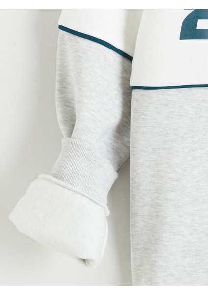 Yeni Sezon Dik Yaka Baskılı Erkek Kalın Sweatshirt fiyatları