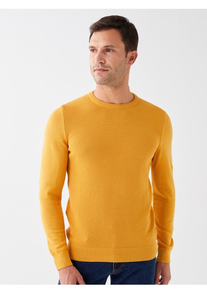 Yeni Sezon Bisiklet Yaka Erkek Triko Kazak