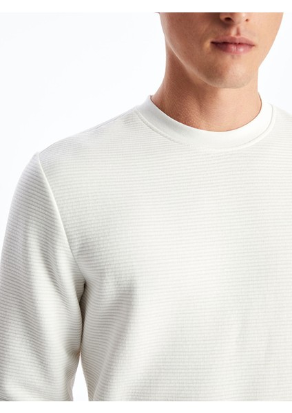 Yeni Sezon Bisiklet Yaka Uzun Kollu Erkek Sweatshirt modelleri