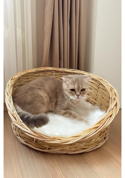 Hasır El Örmesi Kedi Köpek Yatağı modelleri