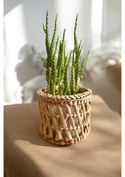 Dekoratif Çok Amaçlı Doğal Hasır Saksı Sepet 10X10 cm