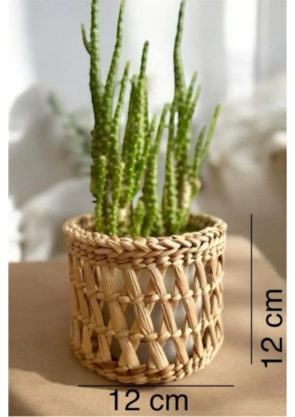 Dekoratif Çok Amaçlı Doğal Hasır Saksı Sepet 10X10 cm fiyatları