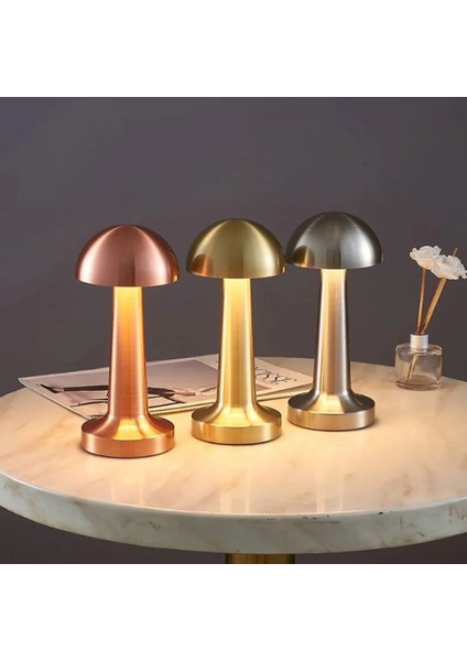 Cosenza Dokunmatik Dim Ayarlı Şarjlı Masa Lambası modelleri