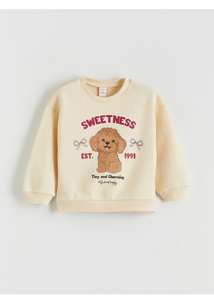 Yeni Sezon Bisiklet Yaka Kız Çocuk Kalın Sweatshirt 2'li fiyatları