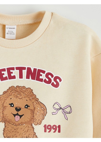 Yeni Sezon Bisiklet Yaka Kız Çocuk Kalın Sweatshirt 2'li modelleri