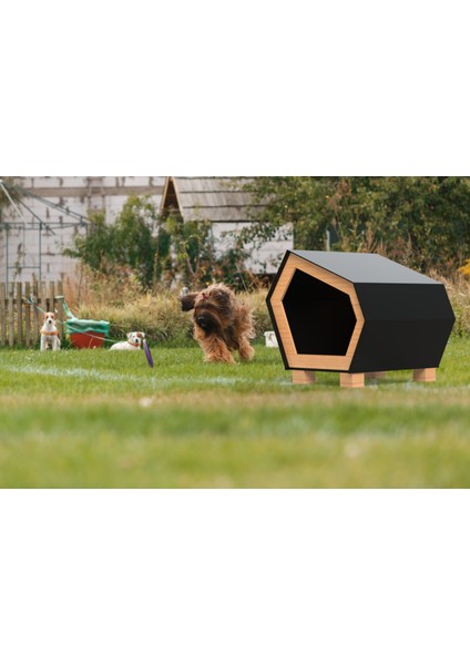 Premium Modern Tasarım Kedi & Köpek Kulübesi | 4 Mevsim Dayanıklı Kompozit | Ahşap Iç Aksam