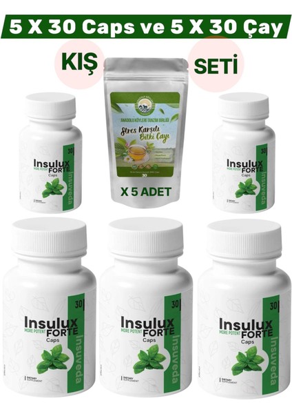 5 x 30 Caps Insulux Forte Gurmar ve Tarçın Özü Içeren Takviye Edici Gıda 5 Kutu 30 Kapsül Caps Detox Için Çay Hediye