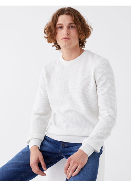 Yeni Sezon Bisiklet Yaka Erkek Triko Kazak